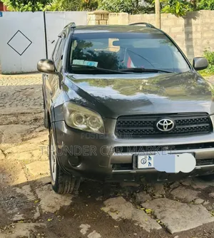 Toyota RAV4 2007 Gray