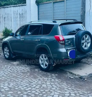 Toyota RAV4 2007 Gray