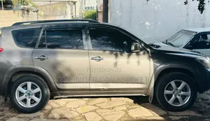 Toyota RAV4 2007 Gray