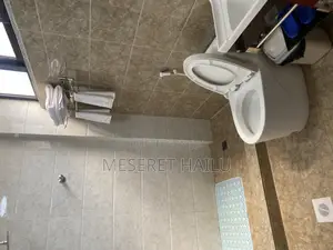 Furnished 1bdrm Apartment in 24, Bole for rent