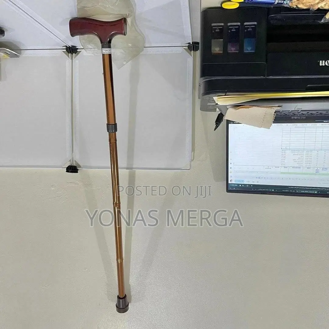 Cane /Walking Stick Is Best Everyday Use_transport Wherever