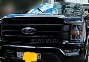 Ford F-150 LARIAT 2021 Gray