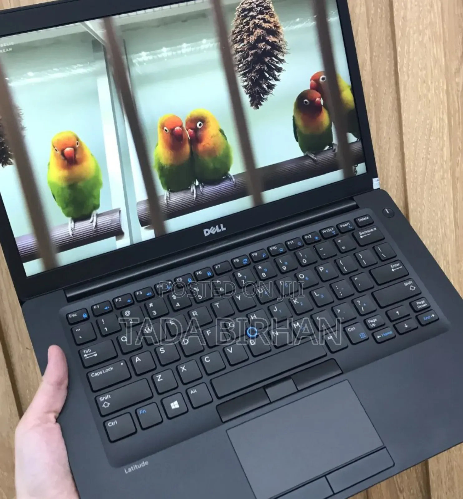 Laptop Dell Latitude 5310 8GB Intel Core I5 SSD 256GB