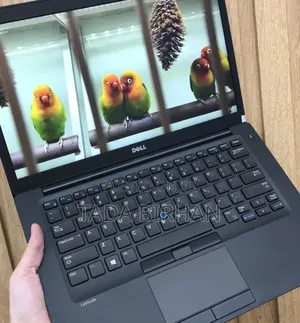 Laptop Dell Latitude 5310 8GB Intel Core I5 SSD 256GB