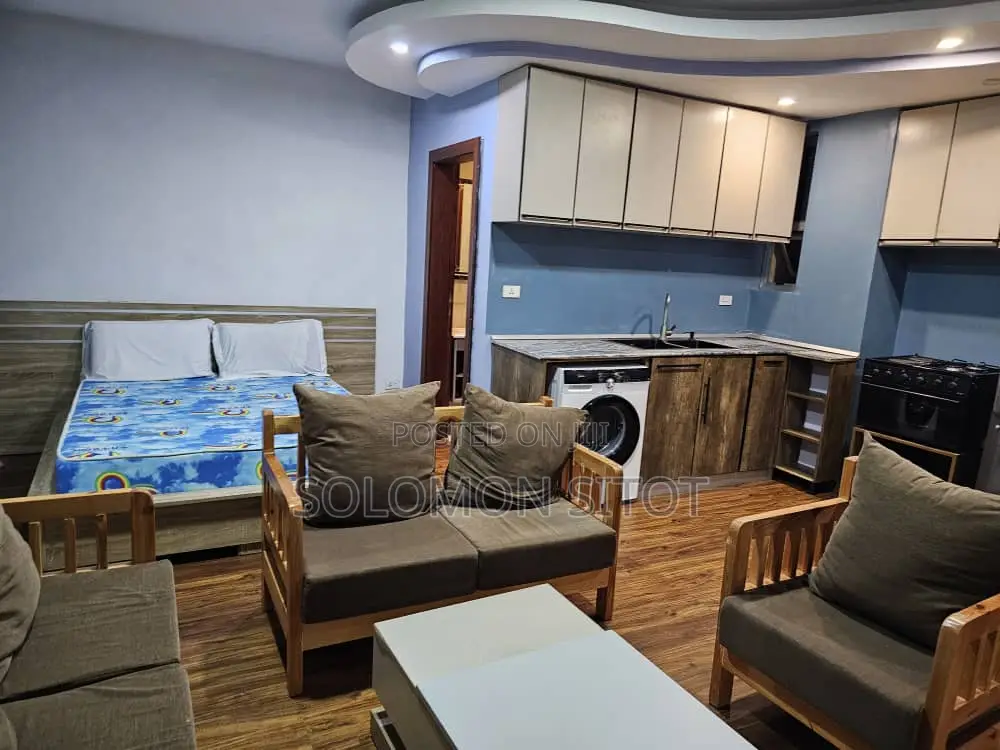 Furnished 1bdrm Apartment in Mekanisa Abo,Au, Kirkos for sale