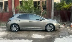 Toyota Corolla 2020 Gray