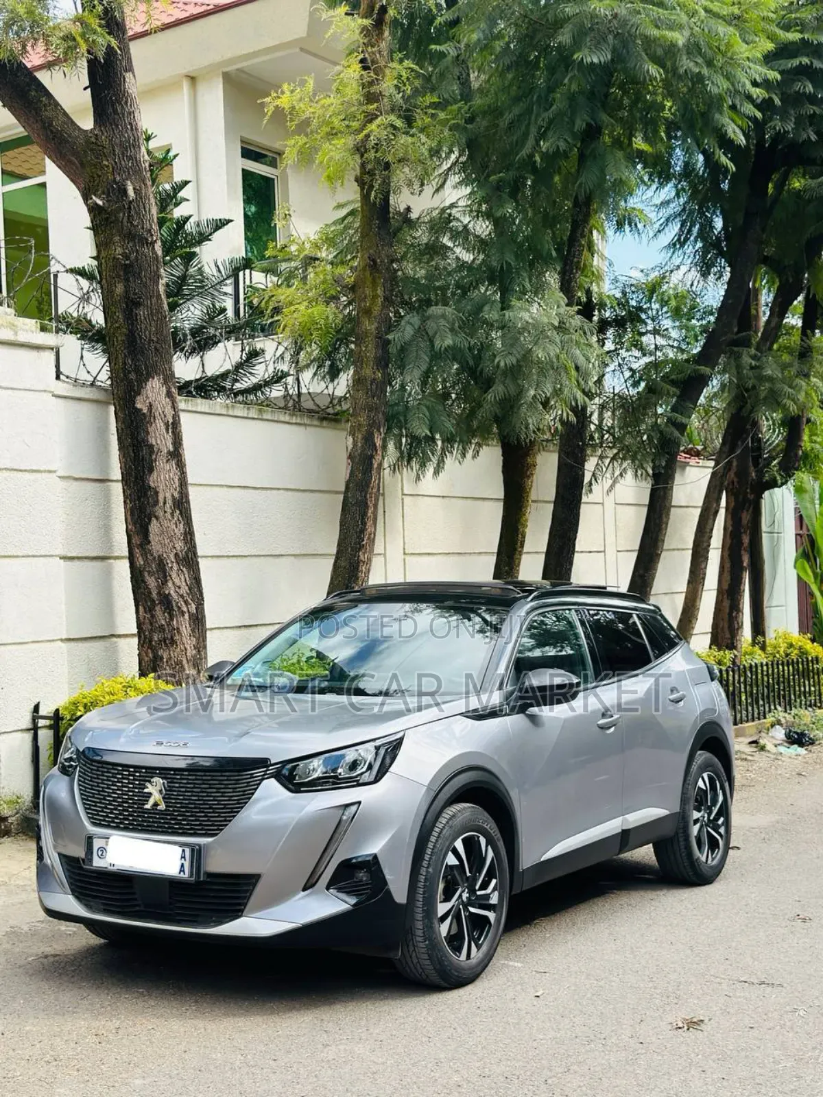 Peugeot 2008 2022 Silver