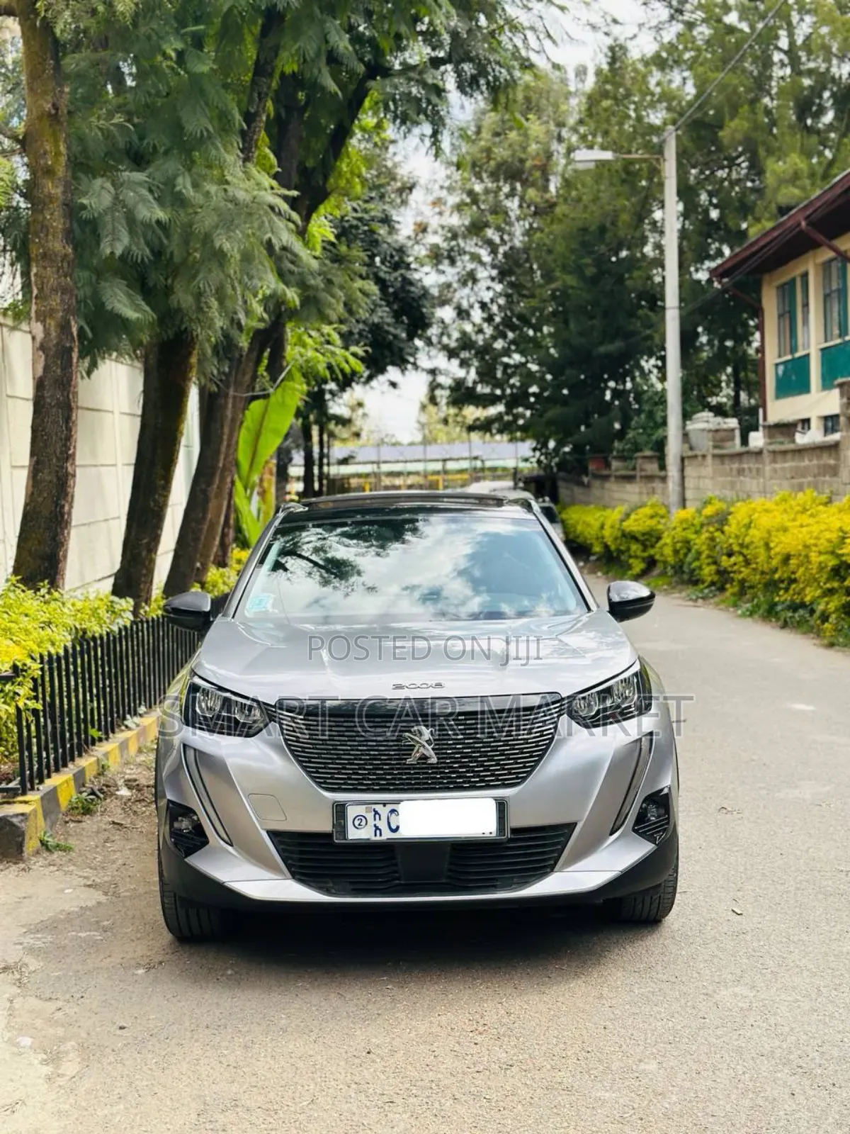 Peugeot 2008 2022 Silver