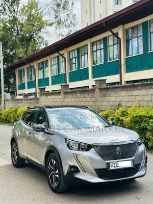 Peugeot 2008 2022 Silver