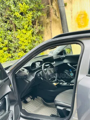 Peugeot 2008 2022 Silver