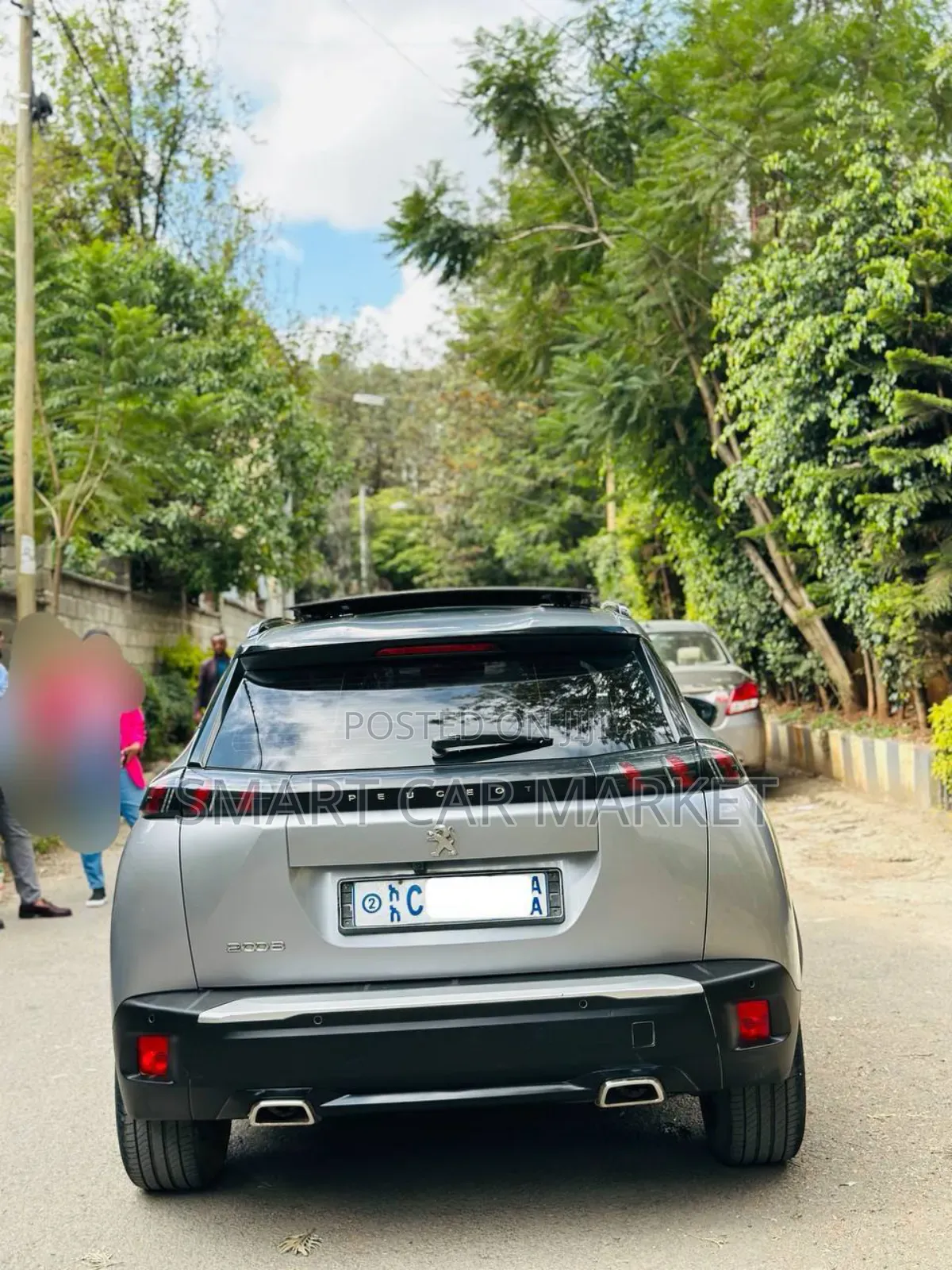 Peugeot 2008 2022 Silver