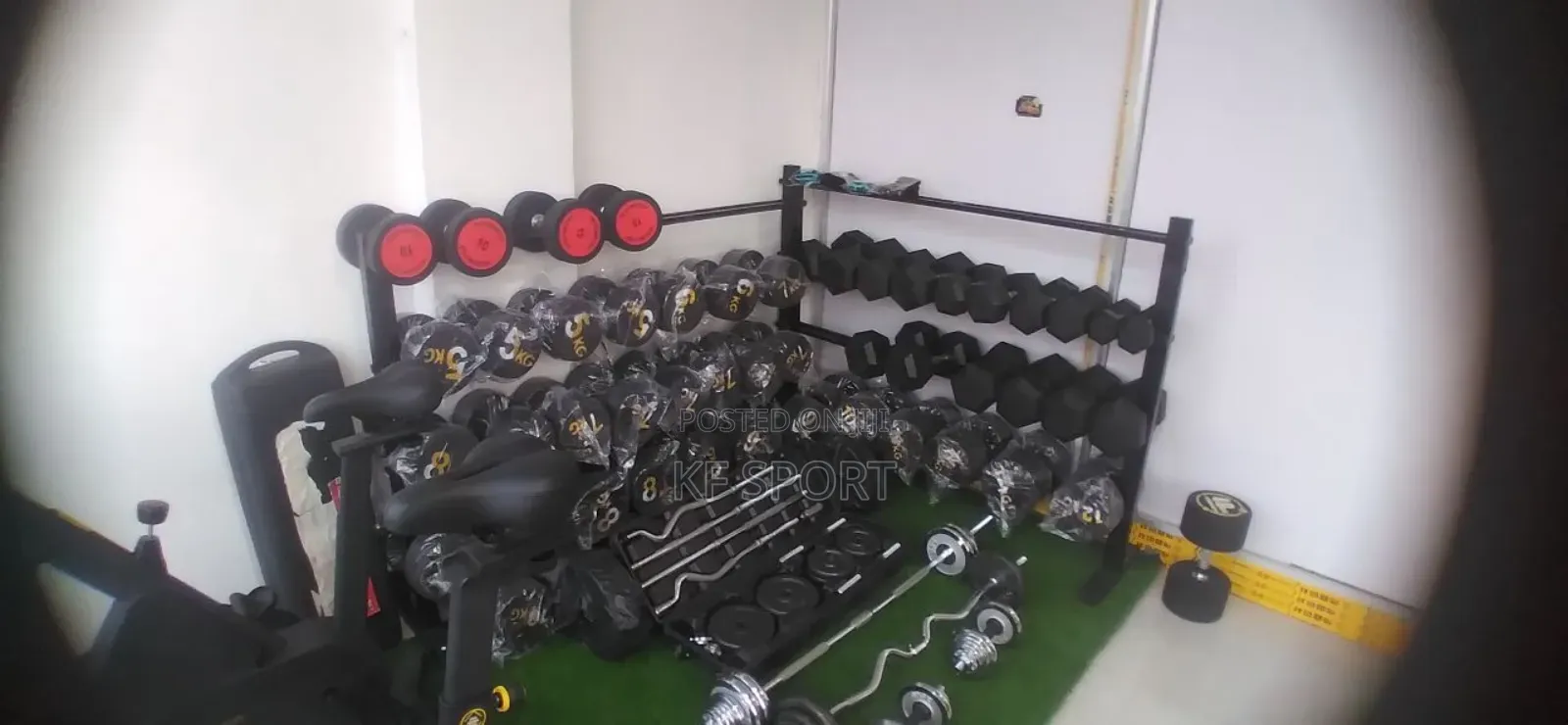 ዳምፔል(Dumbbell)