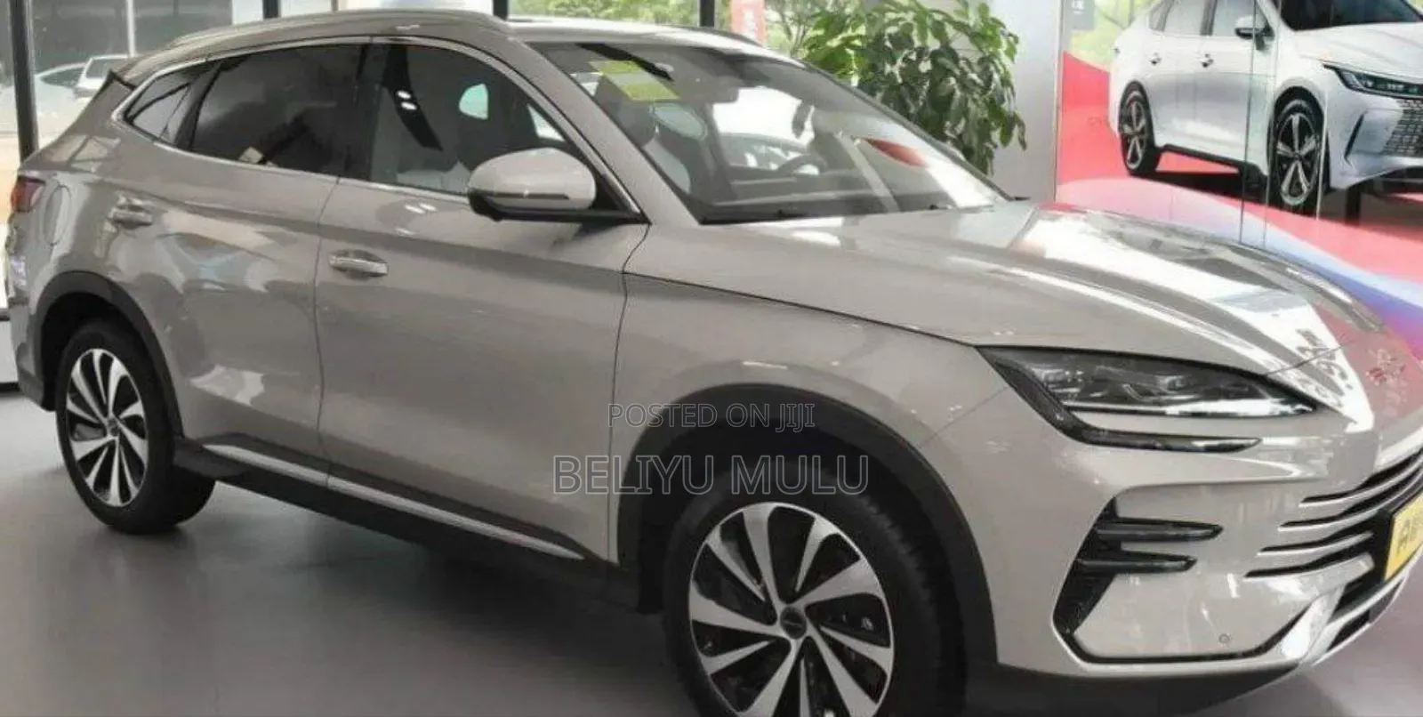 New BYD Song Plus EV FWD 2024 Brown