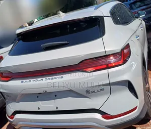 Photo - New BYD Song Plus EV FWD 2024 Brown