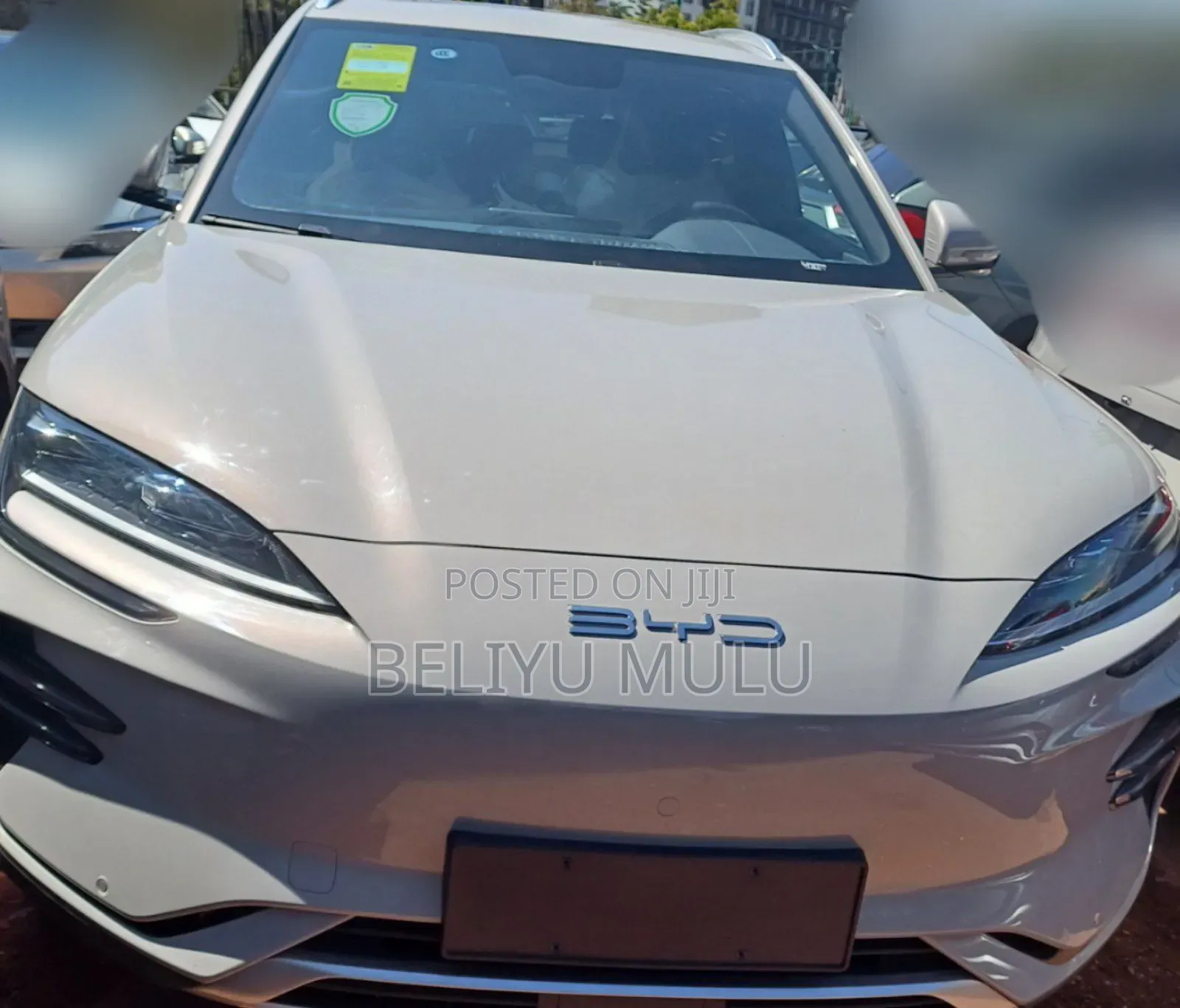 New BYD Song Plus EV FWD 2024 Brown