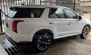 Hyundai Palisade 2023 White