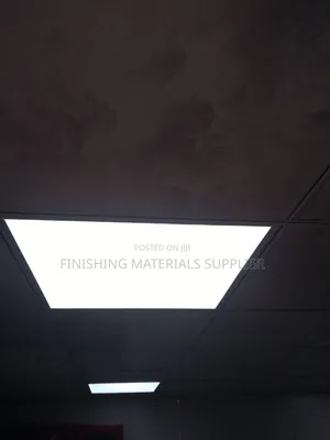 Ceiling Light
