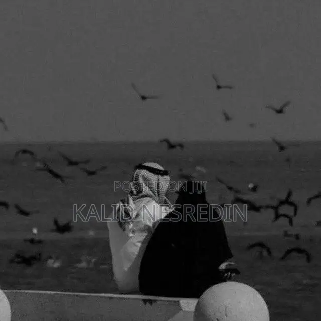 Data Analyst, Python Developer, Website Designer