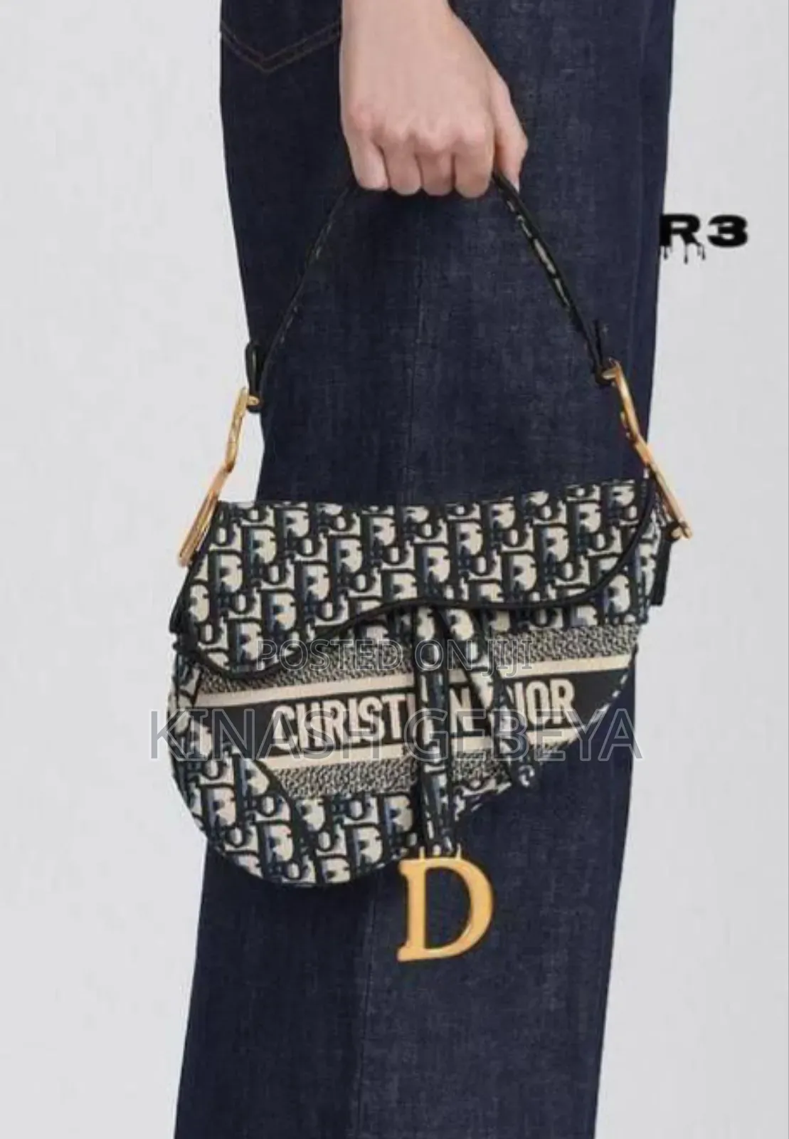 Christian Dior Luxury Ladies Bag