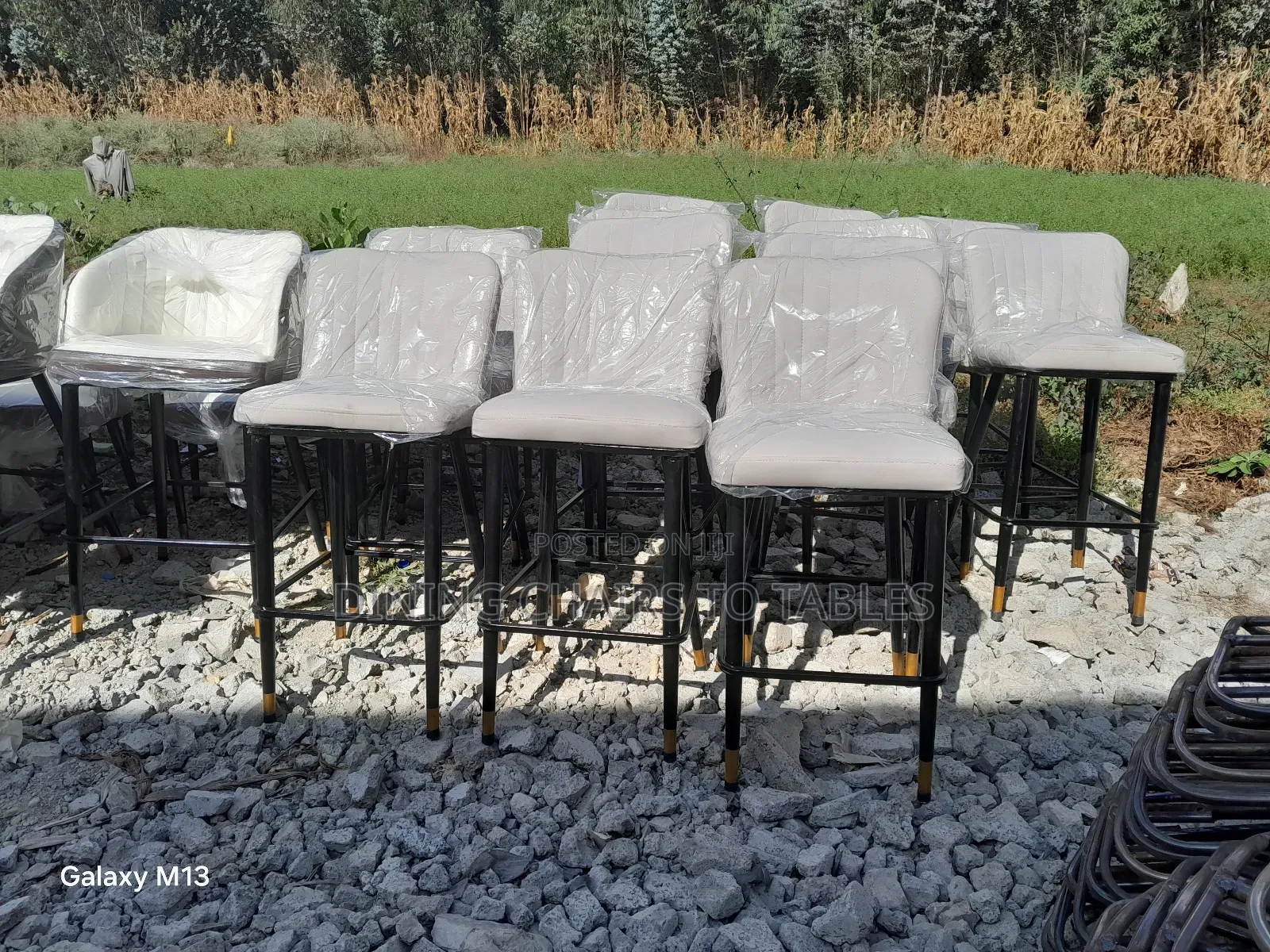 Dining Bar Lounge Chairs