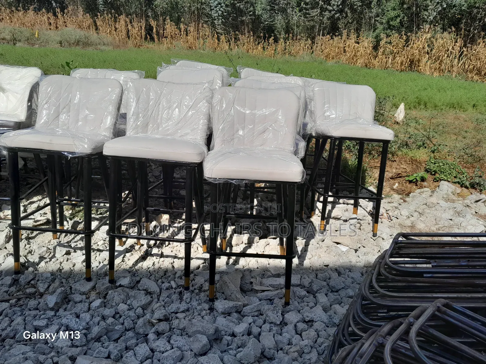 Dining Bar Lounge Chairs