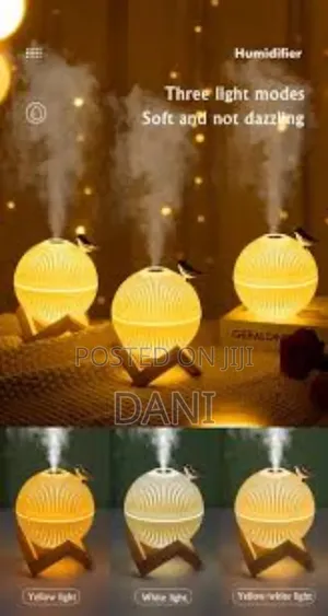 Light and Humidifier