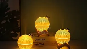 Light and Humidifier