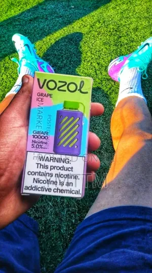 Photo - Vozol Puff in the House