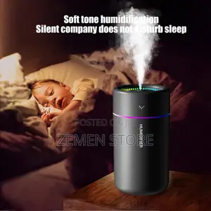 Green Lion 2in1 Humidifier Can Be Both for Car and Home