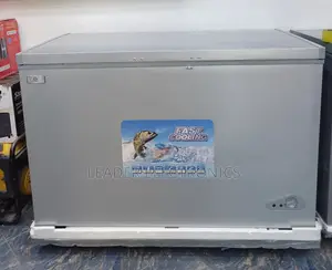 Express Chest Freezer 450