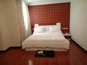 Furnished 1bdrm Apartment in Bole for rent