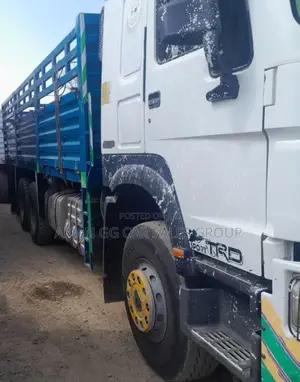 Cino Cacion 2020 Model