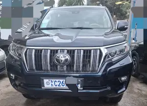 Photo - Toyota Land Cruiser 2023 Gray