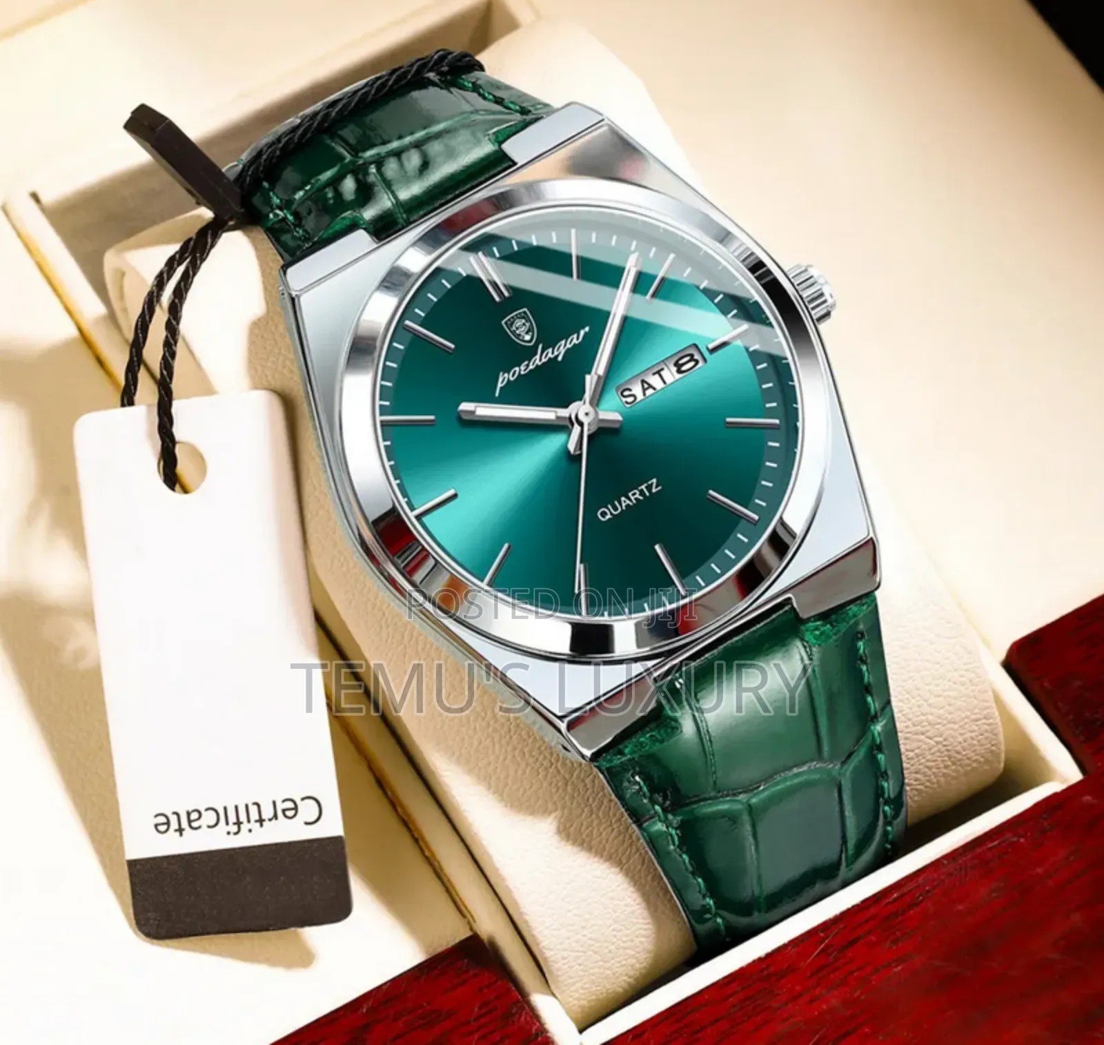 POEDAGAR Luxury Quartz Mens Wristwatch Waterproof Watch Man