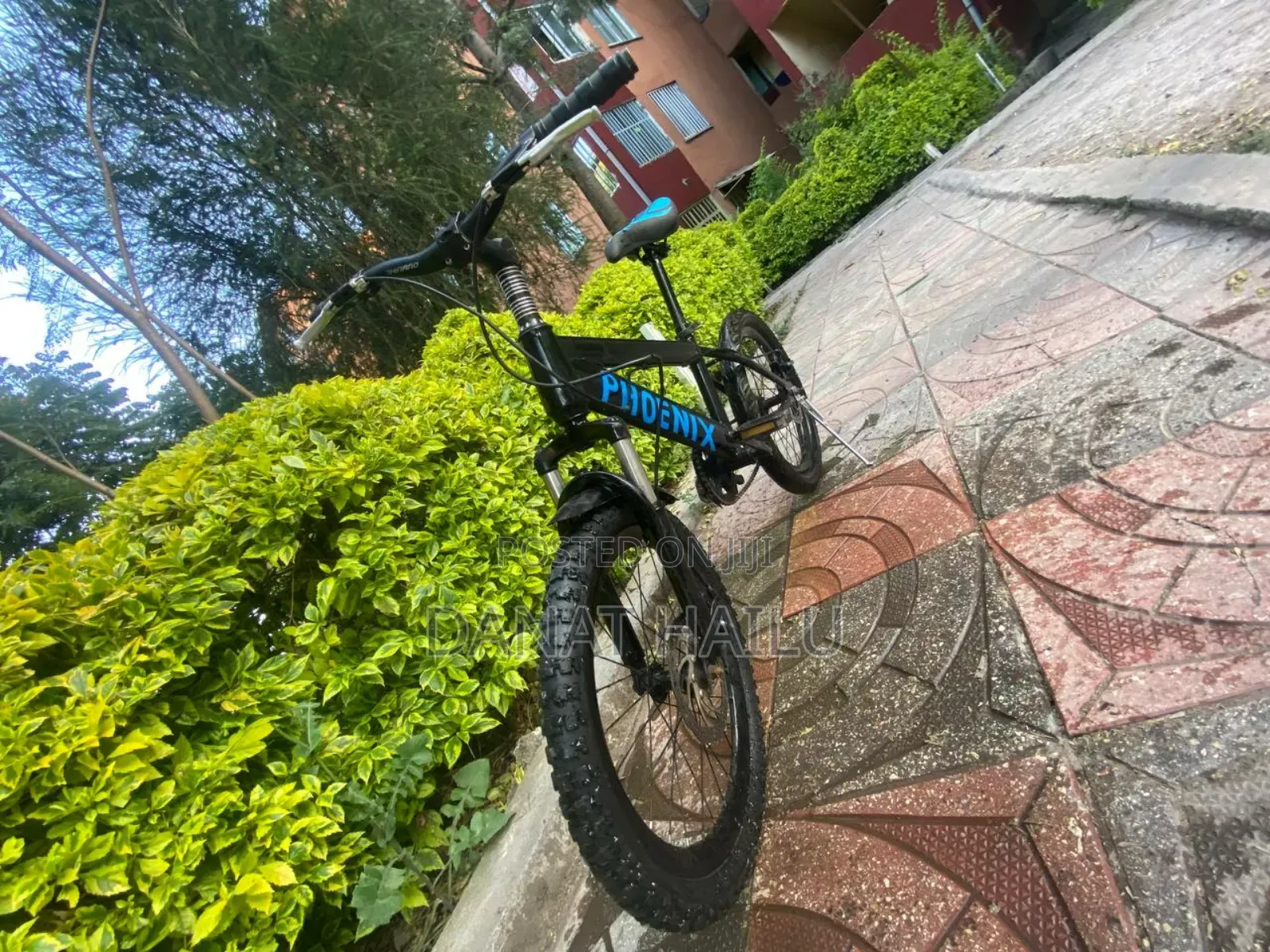 Bike Biycle ሳይክል