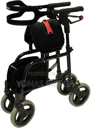 Side-Folding Walker Rollator With Seat, Blueberry