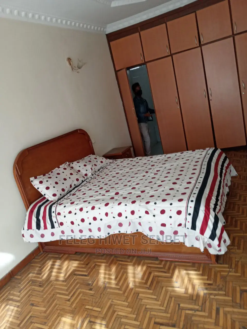 Furnished 4bdrm House in አአ, Bole for rent