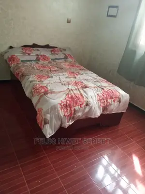 Furnished 4bdrm Villa in አአ, Bole for rent