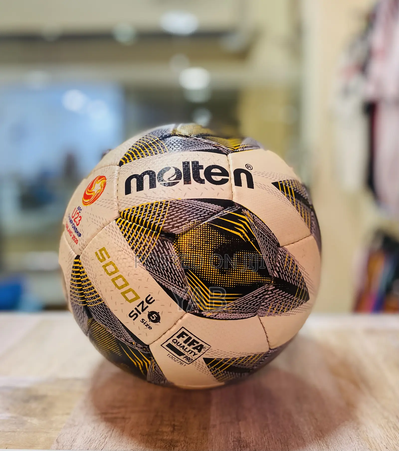 Molten Pure Balls FIFA World Cup