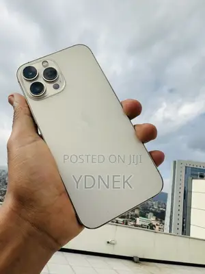 Apple iPhone 13 Pro Max 256 GB Gold