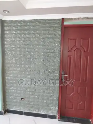 Furnished 3bdrm Condo in Condominium, Oromia-Finfinne for sale