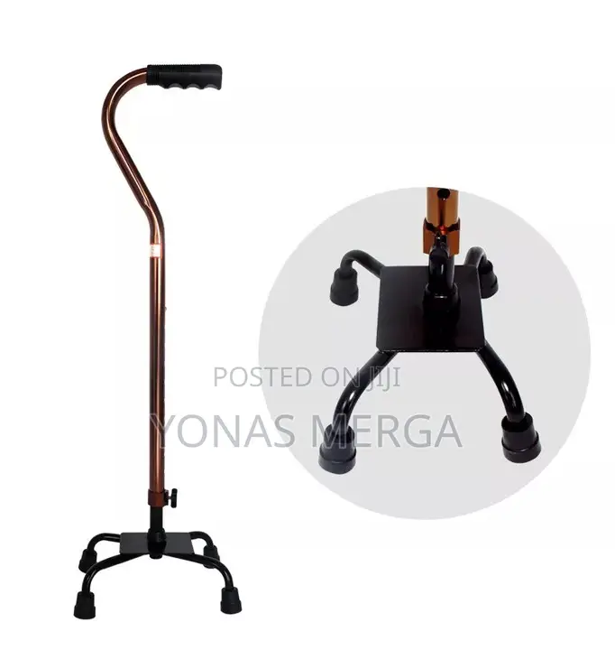 Walking Stick/Quad Canes Stand Upon Their Own₩More Stability