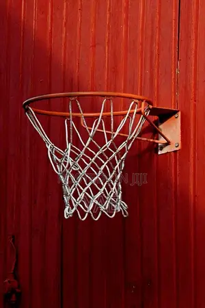 Photo - Portable Basketball Ring