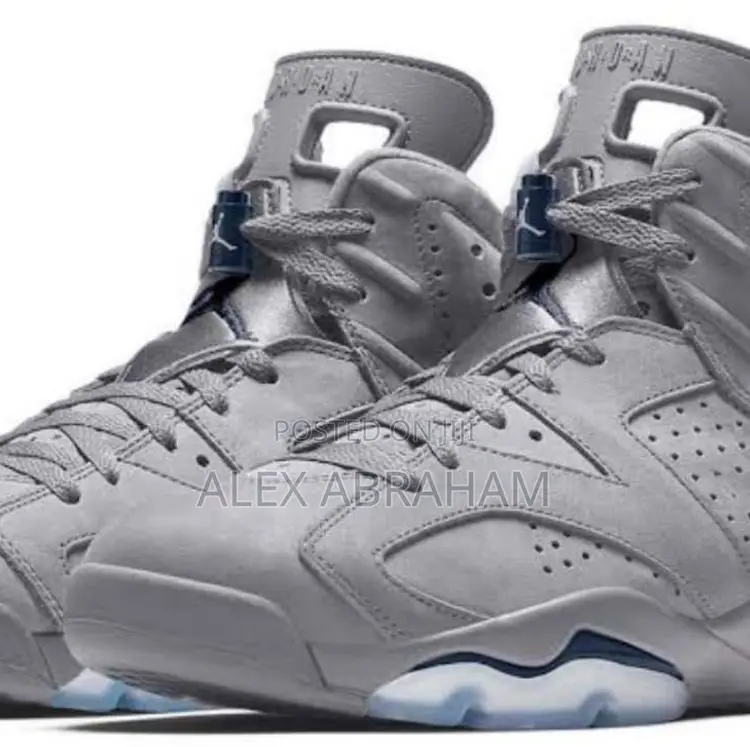 Air Jordan 6