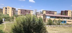 Furnished 1bdrm Condo in Bole Ayat for sale