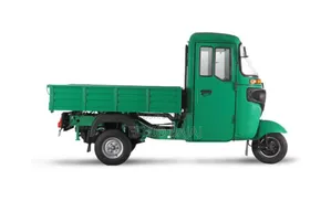 New Bajaj 2024 Green
