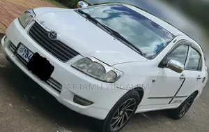 Toyota Corolla 2007 Ivory