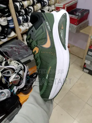Photo - Nike Zoom Free Run Master Quality Shoes for You