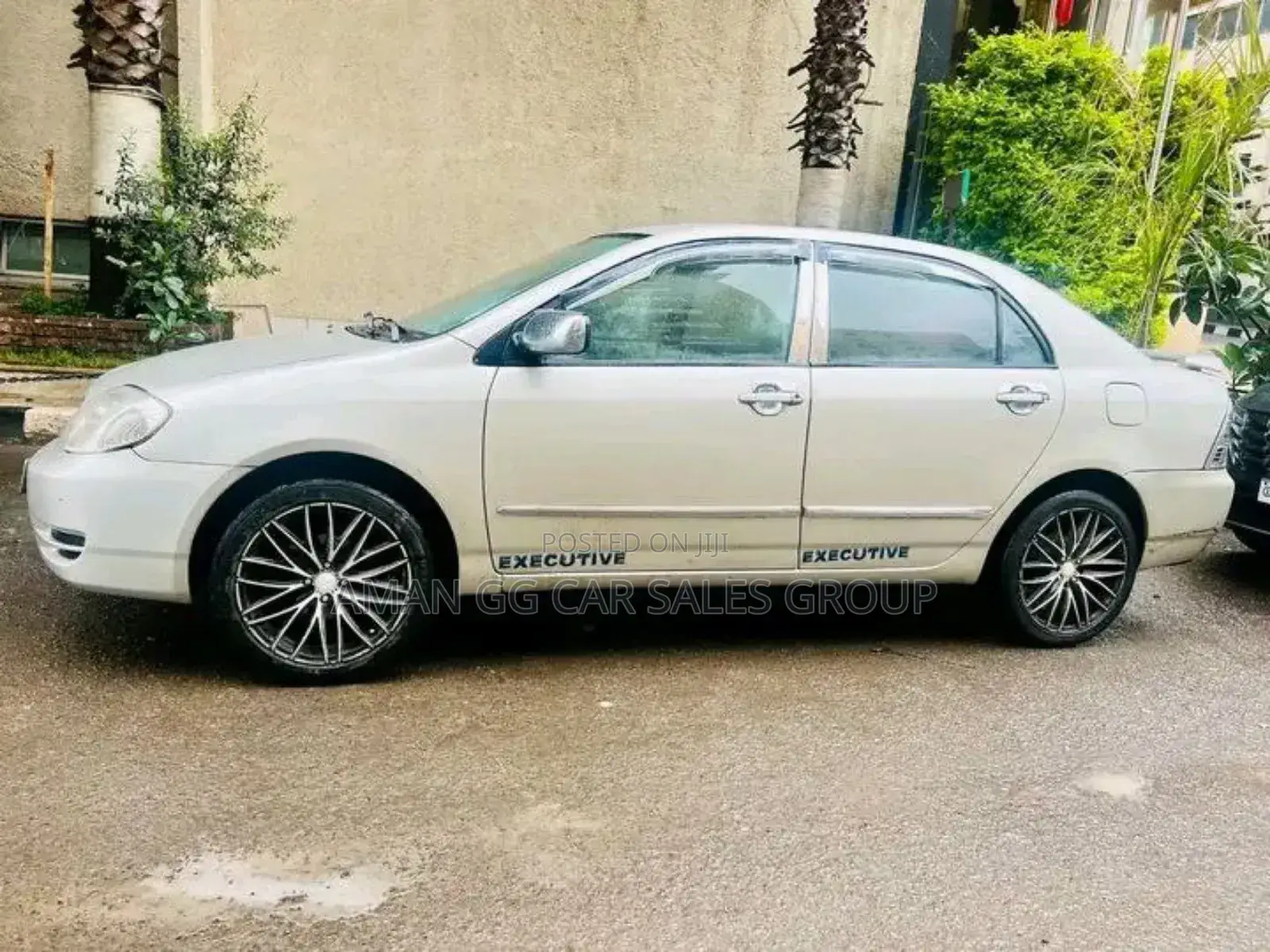 Toyota Corolla 2003 Gray