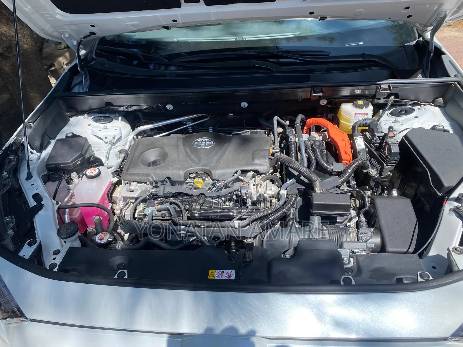 New Toyota RAV4 XLE AWD 2024 White